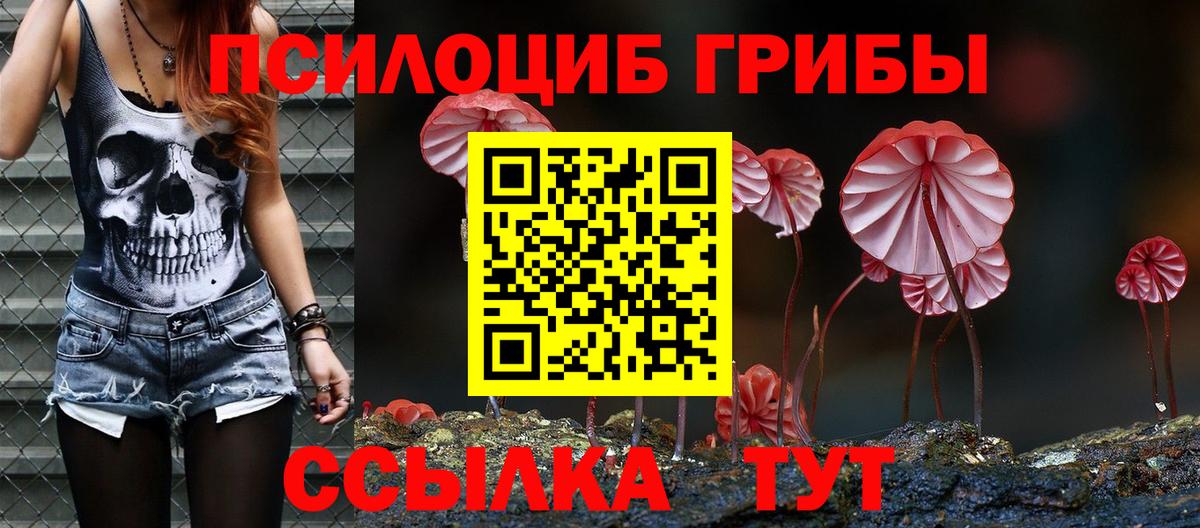 Псилоцибиновые грибы Cubensis  купить   Электросталь  Галлюциногенные грибы мицелий  Вход с VPN 